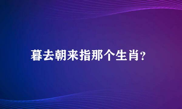 暮去朝来指那个生肖？