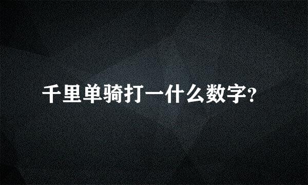 千里单骑打一什么数字？