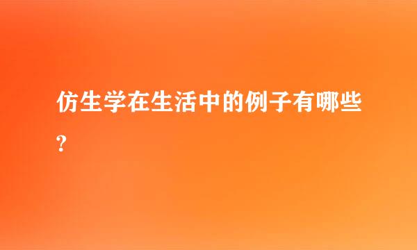 仿生学在生活中的例子有哪些?