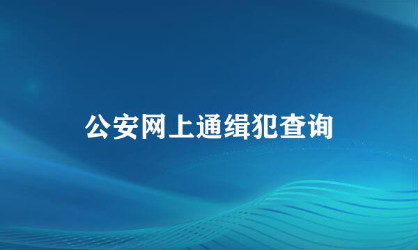 公安网上通缉犯查询