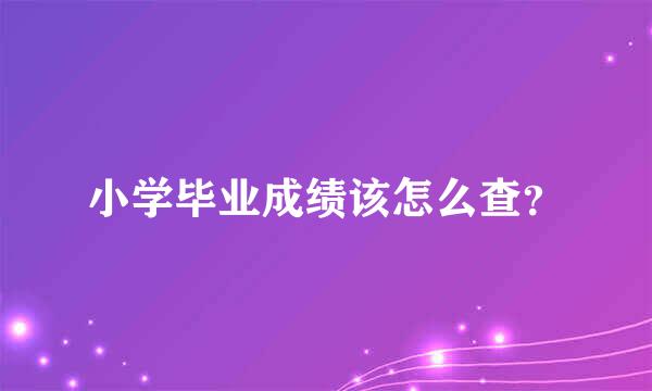 小学毕业成绩该怎么查？