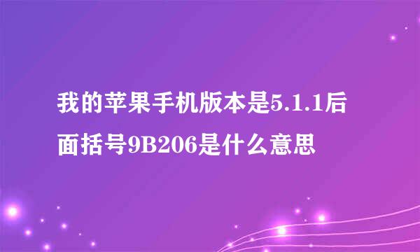 我的苹果手机版本是5.1.1后面括号9B206是什么意思