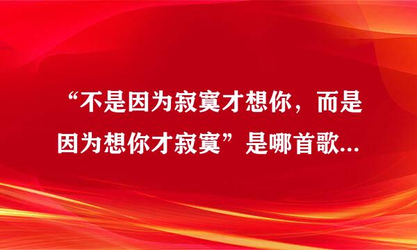 “不是因为寂寞才想你，而是因为想你才寂寞”是哪首歌的歌词？