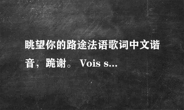 眺望你的路途法语歌词中文谐音，跪谢。 Vois sur ton chemin （眺望你的路途）