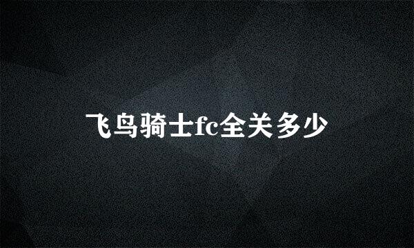 飞鸟骑士fc全关多少