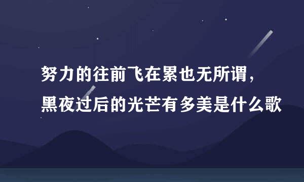 努力的往前飞在累也无所谓，黑夜过后的光芒有多美是什么歌