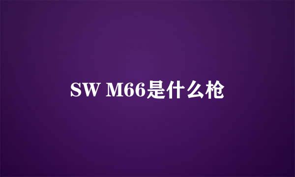 SW M66是什么枪