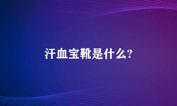 汗血宝靴是什么?