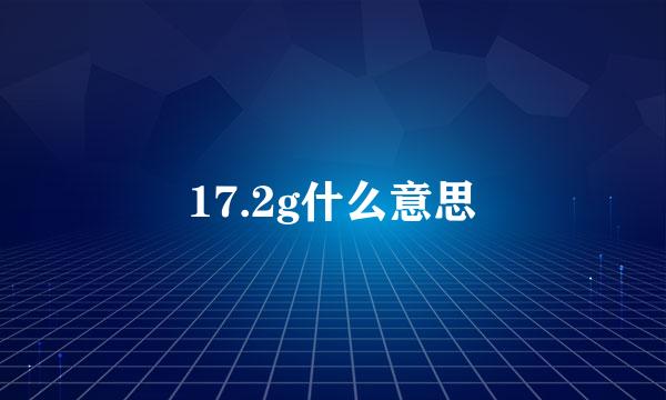 17.2g什么意思