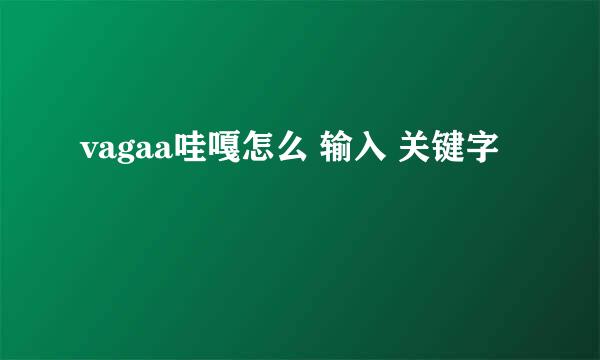 vagaa哇嘎怎么 输入 关键字