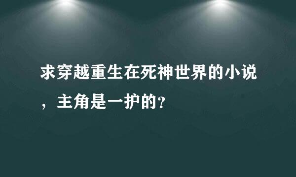 求穿越重生在死神世界的小说，主角是一护的？