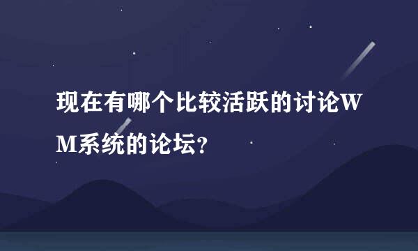 现在有哪个比较活跃的讨论WM系统的论坛？