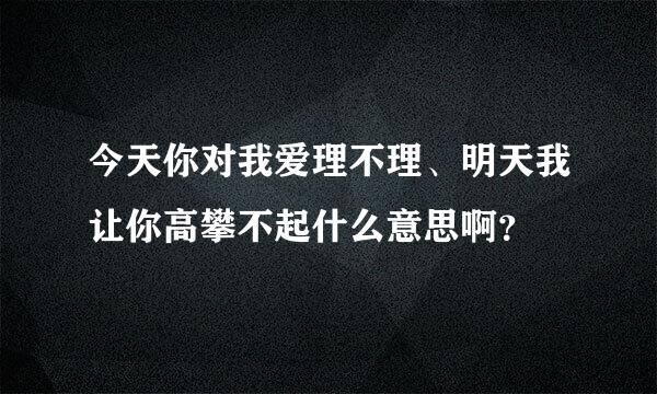 今天你对我爱理不理、明天我让你高攀不起什么意思啊？