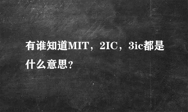 有谁知道MIT，2IC，3ic都是什么意思？