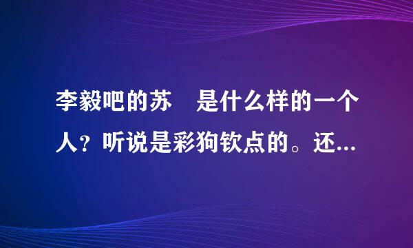 李毅吧的苏颙是什么样的一个人？听说是彩狗钦点的。还有他为什么是孝子？