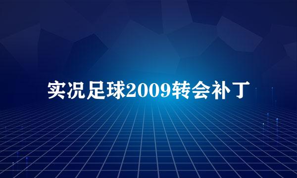 实况足球2009转会补丁