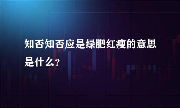 知否知否应是绿肥红瘦的意思是什么？