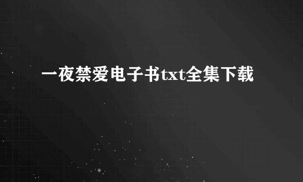 一夜禁爱电子书txt全集下载