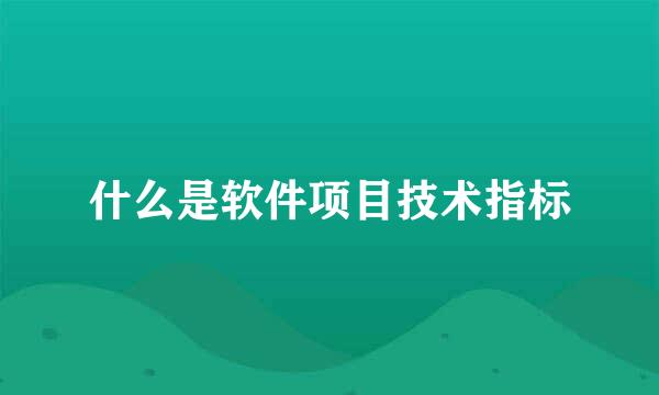 什么是软件项目技术指标