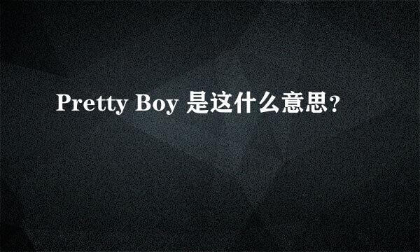 Pretty Boy 是这什么意思？