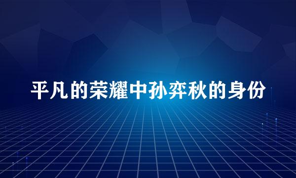 平凡的荣耀中孙弈秋的身份