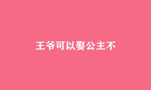 王爷可以娶公主不