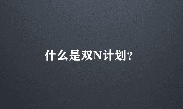 什么是双N计划？