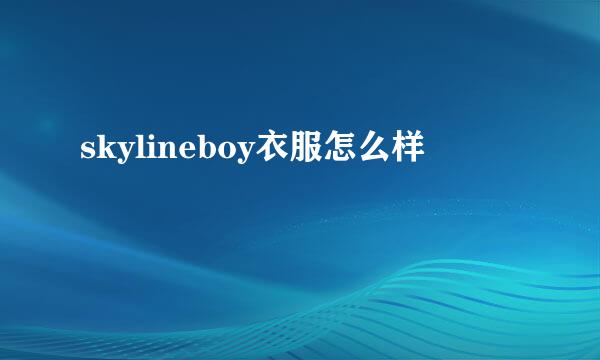 skylineboy衣服怎么样