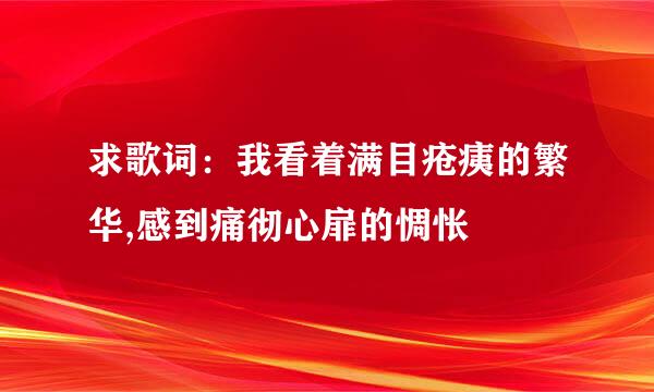 求歌词：我看着满目疮痍的繁华,感到痛彻心扉的惆怅