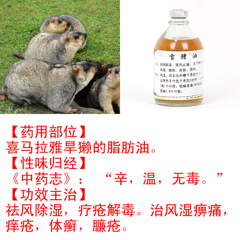 旱獭油有什么作用