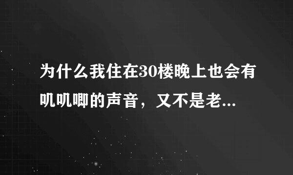 为什么我住在30楼晚上也会有叽叽唧的声音，又不是老鼠，像鸟一样由远及近？