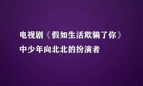 电视剧《假如生活欺骗了你》中少年向北北的扮演者