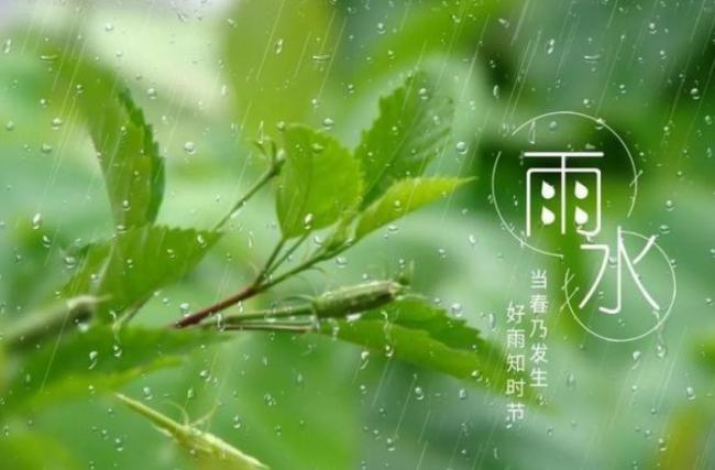 好雨知时节当春乃发生的意思