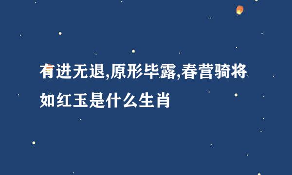 有进无退,原形毕露,春营骑将如红玉是什么生肖