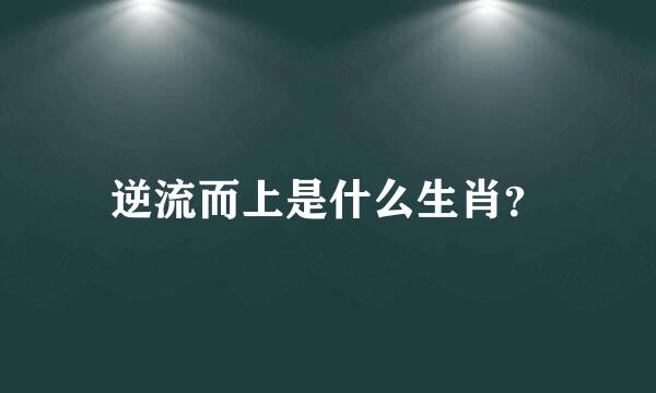 逆流而上是什么生肖？