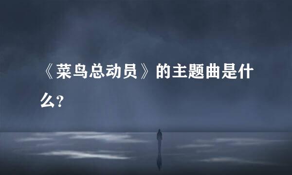 《菜鸟总动员》的主题曲是什么？