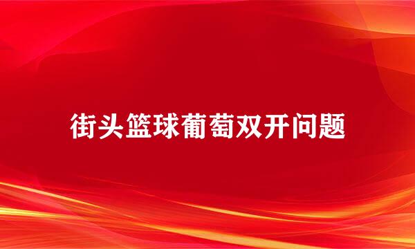 街头篮球葡萄双开问题