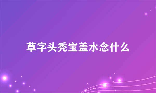 草字头秃宝盖水念什么