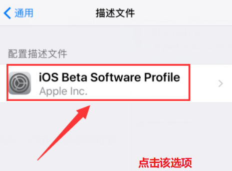 ios11的描述文件怎么删除