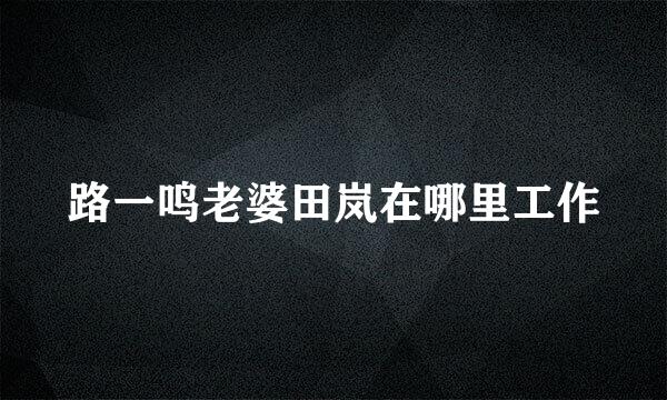 路一鸣老婆田岚在哪里工作