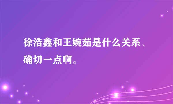 徐浩鑫和王婉茹是什么关系、确切一点啊。