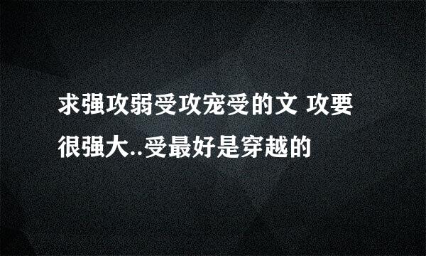 求强攻弱受攻宠受的文 攻要很强大..受最好是穿越的