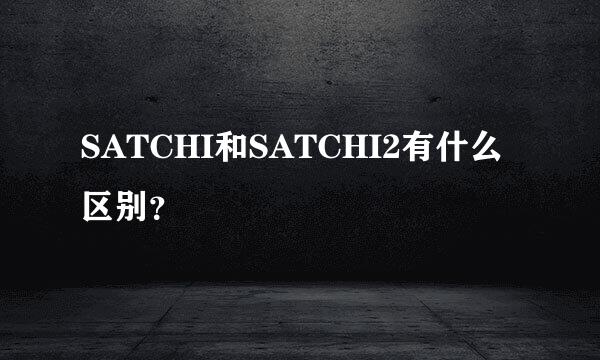 SATCHI和SATCHI2有什么区别？