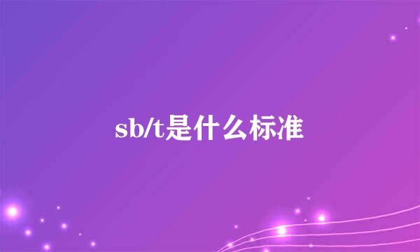 sb/t是什么标准