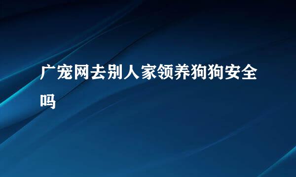 广宠网去别人家领养狗狗安全吗