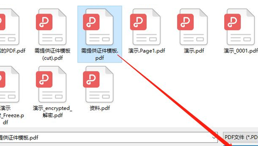 什么是PDF文件啊？