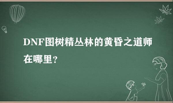 DNF图树精丛林的黄昏之道师在哪里？