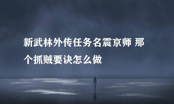 新武林外传任务名震京师 那个抓贼要诀怎么做