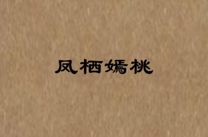 丫鬟皓月馨兰的小说名字