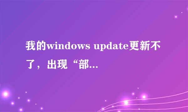 我的windows update更新不了，出现“部分更新没有安装”这是怎么回事呀？